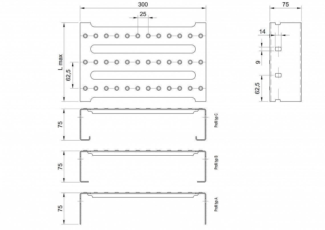 Profilové rošty PST-300-75/2,5 - nerez V2A (1.4301)-mořená